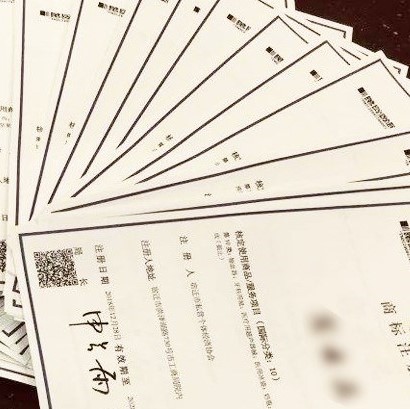 7.Intellectual Property Services 